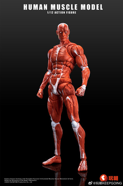 KEEPGOING STUDIO HUMAN MUSCLE MODEL 1/12 SCALE ACTION FIGURE RED
