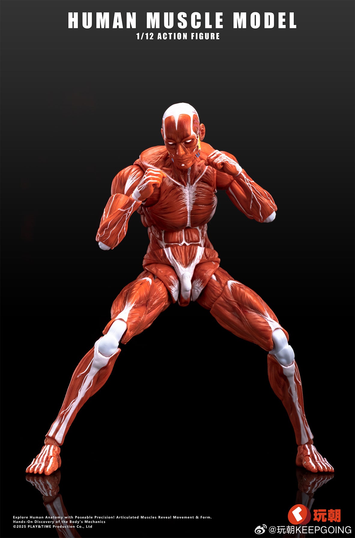 KEEPGOING STUDIO HUMAN MUSCLE MODEL 1/12 SCALE ACTION FIGURE RED