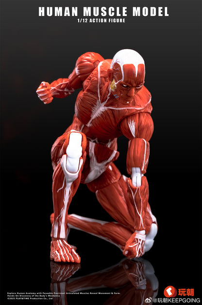 KEEPGOING STUDIO HUMAN MUSCLE MODEL 1/12 SCALE ACTION FIGURE RED