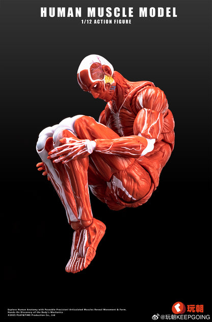 KEEPGOING STUDIO HUMAN MUSCLE MODEL 1/12 SCALE ACTION FIGURE RED