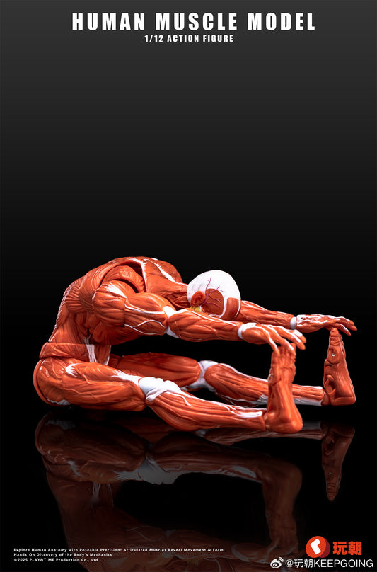 KEEPGOING STUDIO HUMAN MUSCLE MODEL 1/12 SCALE ACTION FIGURE RED
