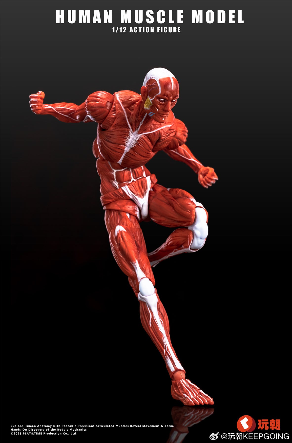 KEEPGOING STUDIO HUMAN MUSCLE MODEL 1/12 SCALE ACTION FIGURE RED