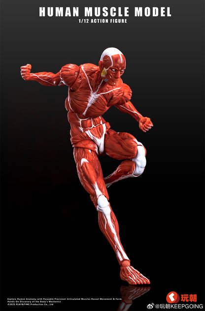 KEEPGOING STUDIO HUMAN MUSCLE MODEL 1/12 SCALE ACTION FIGURE RED