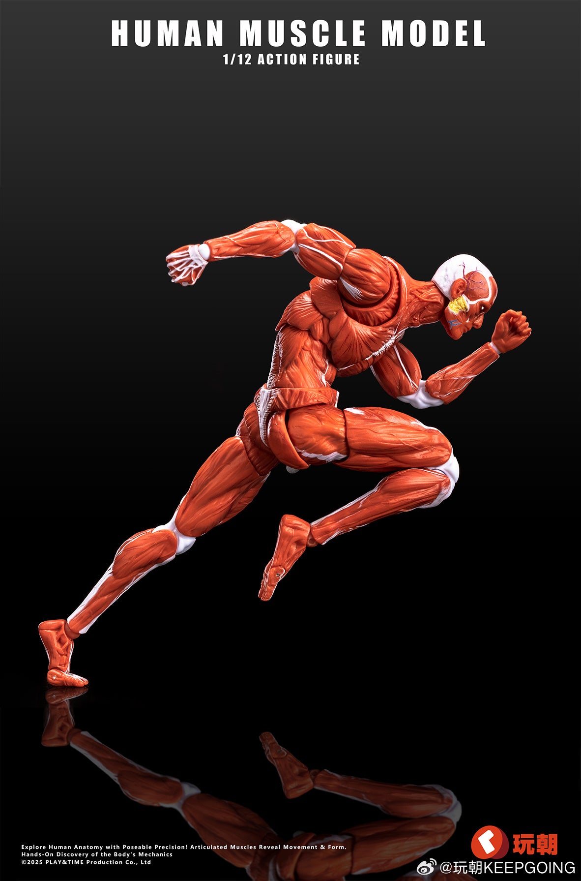 KEEPGOING STUDIO HUMAN MUSCLE MODEL 1/12 SCALE ACTION FIGURE RED