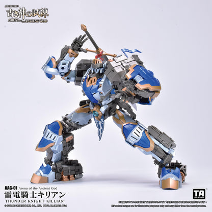 TOYS ALLIANCE LIMITED "ARENA OF THE ANCIENT GOD" SERIES 1/60 SCALE AAG-01 THUNDER KNIGHT KILLIAN